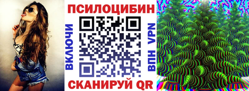 Псилоцибиновые грибы GOLDEN TEACHER Медногорск
